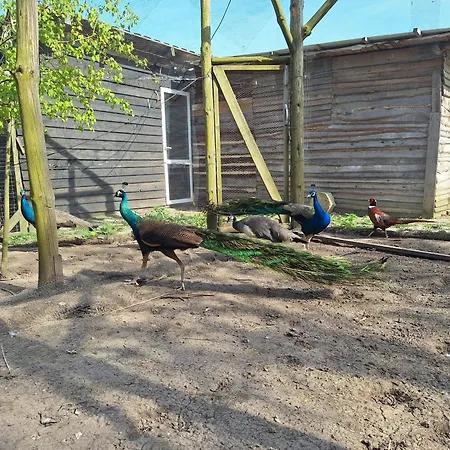 Wegorzewo- Dom Nad Stawem Casa vacanze