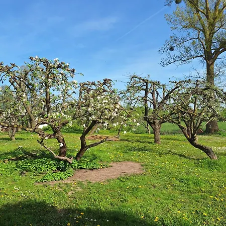 Wegorzewo- Dom Nad Stawem